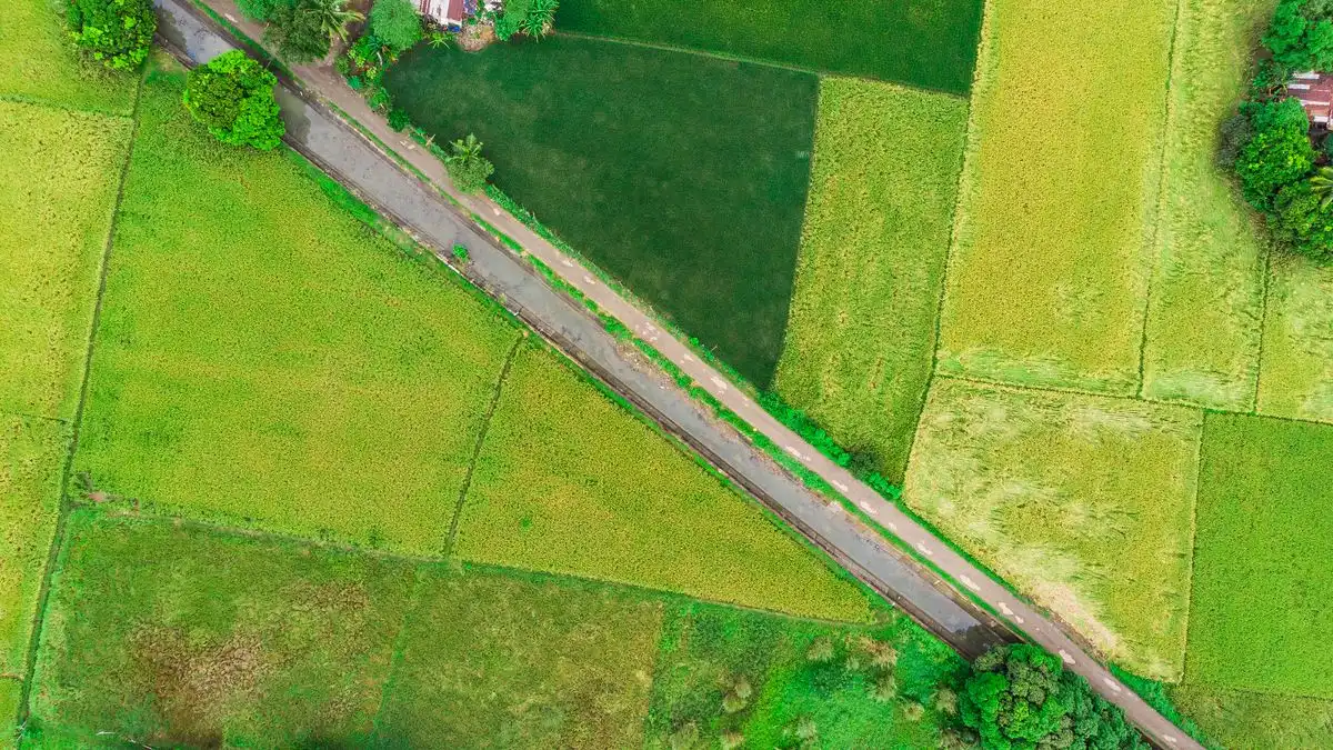 Ortaklığın Giderilmesi (İzale-i Şüyu) Davası — Süreç ve Paylaşım